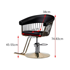 Sillón de Peluquería Palace - Imagen 4